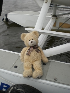 Fliegerbaer am Flugzeug