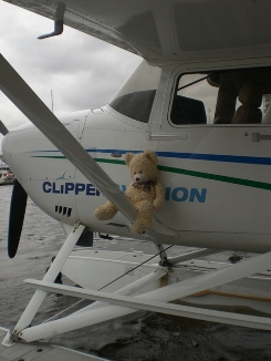 Fliegerbaer am Flugzeug