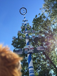 Maibaum