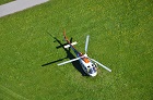 Heli