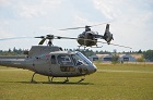 Heli