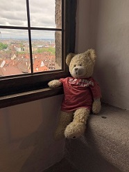 Ausblick